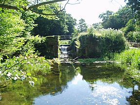 HaverholmeLockSleafordNavigation.JPG