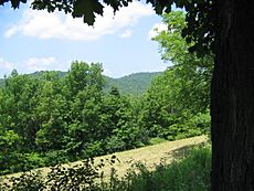 Hubbardton-Battlefield-Sergent-Hill