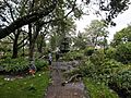 Hurricane Arthur aftermath in Frost Park