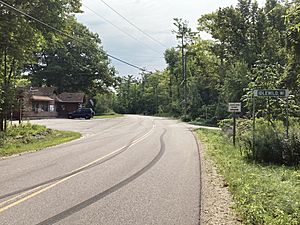 Looking west in Idlewild