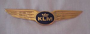 KLM Wing
