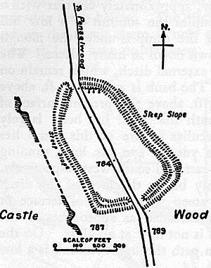 Kenwalchs Castle Somerset Map.jpg