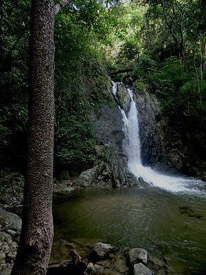 La Llovizna. Guatire