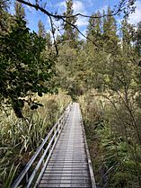 Lake Matheson Walk MRD 15