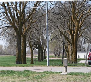 Lincoln Highway, Duncan, Nebraska from NE 2