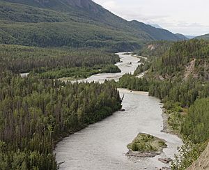 Matanuska River 8701s.JPG