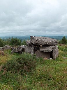 Megalithic Tomb, Duntryleague (geograph 2544297)