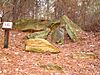 Mississippi Petrified Forest.JPG