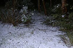 Mt. Lofty Snow