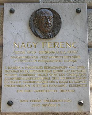 NagyFerenc Semmelweis1