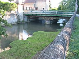 Nevers riv nievre 07.jpg