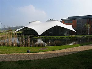 Newbury, New Vodafone Headquarters - geograph.org.uk - 5590