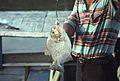 Peru - PiranhaFishing