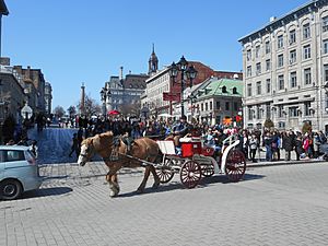 Place Jacques-Cartier 162