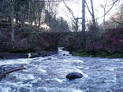 River Carron (geograph 2268831)