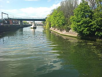 River Tolka (tidal) near mouth, with trees of Fairview Park (geograph 3545481).jpg