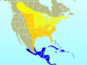 Rose-breasted Grosbeak-rangemap.gif