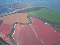 San Francisco Bay Salt Ponds