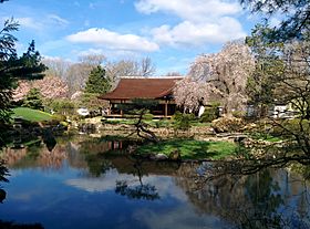 Shofuso Spring.jpg