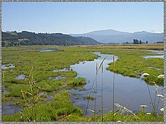 Steigerwald Lake National Wildlife Refuge.jpg