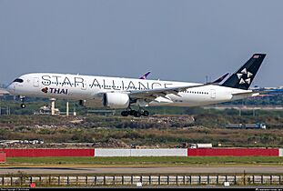 Thai Airways A350-900 (HS-THQ)