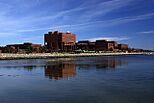 UMass Boston campus.jpg