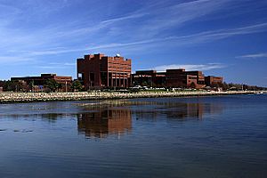 UMass Boston campus