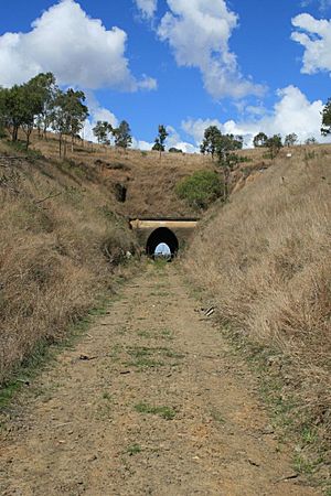 Yimbun Railway Tunnel (2008).jpg