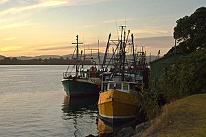 Abaconda Tauranga-Boat Sunrise