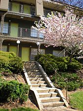 Apartments in Five Points South