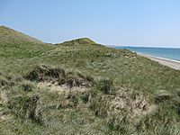 Ballyteigue Burrow