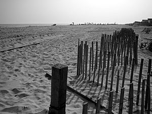 Beach @ Saltaire, Fire Island