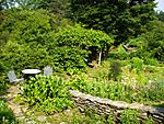 Berkshire Botanical Garden (herb garden).JPG