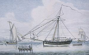 Bermuda sloop - privateer