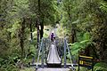 Bridge on the Paparoa Track