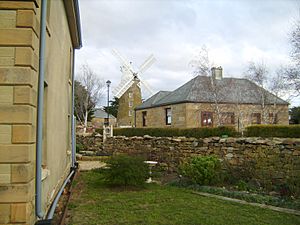 Callington Mill from High Street,Oatlands