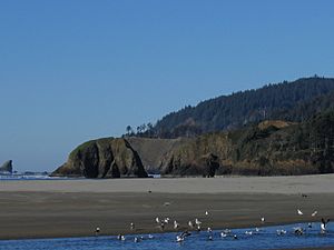 Cannon Beach 01