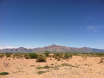 Chiricahua Mountains AZ.JPG