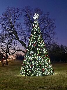 Christmas Tree Eufaula Oklahoma