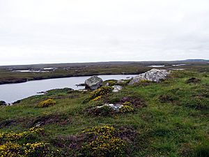 Connemara1