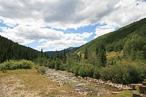 Dolores River near Rico Colorado