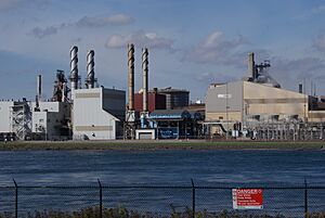 ESSAR Steel Algoma Inc.