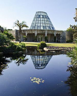 Epiphyte Garden at SABot (5176663727).jpg