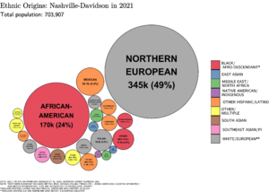 Ethnic Origins in Nashville-Davidson, TN