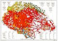 Ethnographic map of hungary 1910 by teleki carte rouge