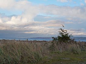 Fay Bainbridge Park, Washington, USA.JPG