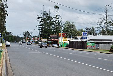 Fernvale Main Street.JPG