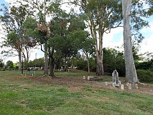 Francis Lookout graves