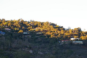 Gooseberry hill 01 gnangarra.JPG