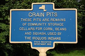 Grain pits